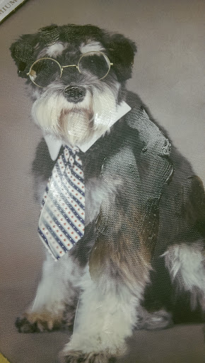 Department Store «Marshalls», reviews and photos, 1412 Greenbrier Pkwy, Chesapeake, VA 23320, USA