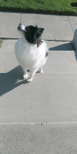OC Animal Care image