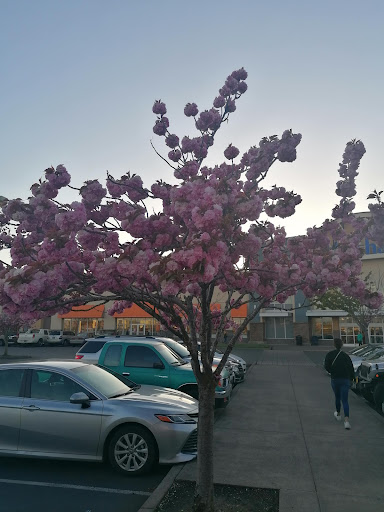 Department Store «Marshalls», reviews and photos, 6365 Ulali Dr, Keizer, OR 97303, USA