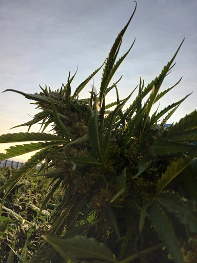 Historical Place «Klondike Gold Rush - Seattle Unit», reviews and photos, 319 2nd Ave S, Seattle, WA 98104, USA