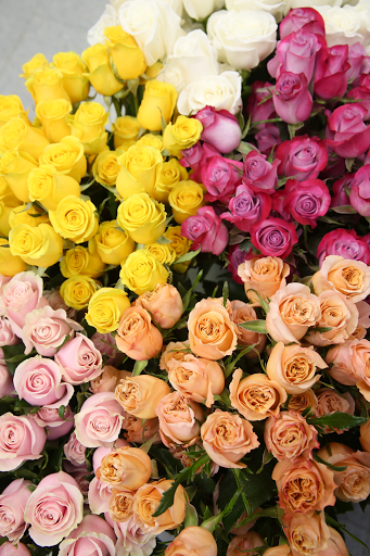 Florist «Central Square Florist», reviews and photos, 653 Massachusetts Ave, Cambridge, MA 02139, USA