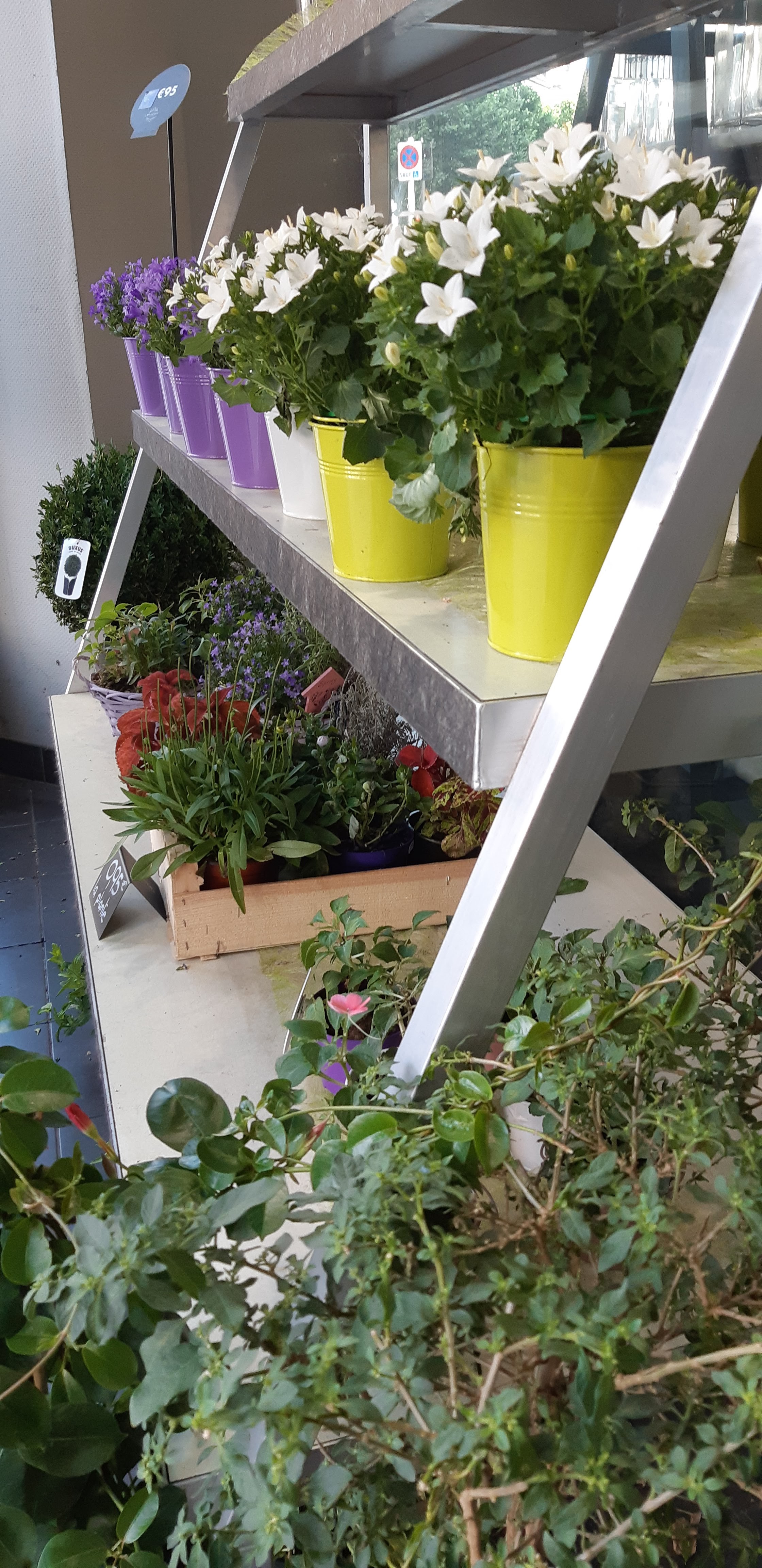 Photo n° 13 de l'avis de Del.t fait le 06/07/2019 à 07:39