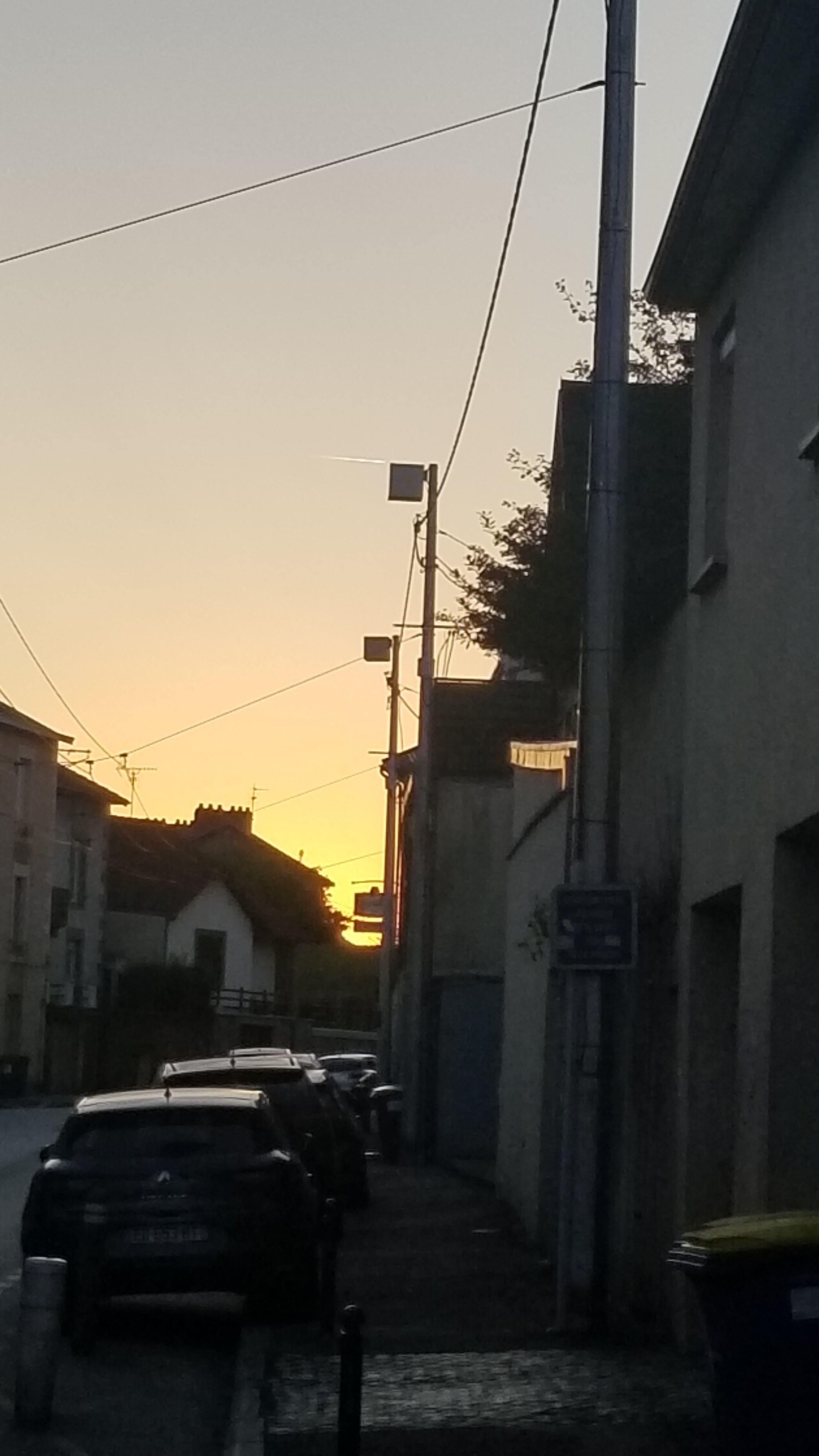 Photo n° 14 de l'avis de Fernand.e fait le 26/08/2023 à 08:52