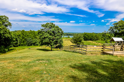 Vineyard «The Winery at Wolf Creek», reviews and photos, 2637 S Cleveland Massillon Rd, Barberton, OH 44203, USA