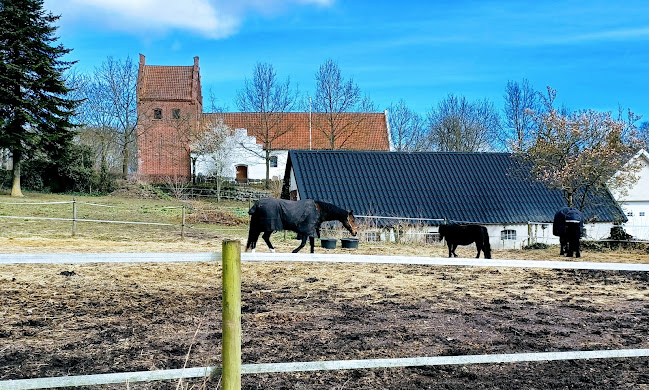 Davinde Kirke (Sankt Laurentius) - Odense