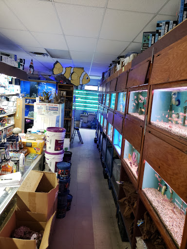 Tropical Fish Store «About Fish Inc», reviews and photos, 7236 N Federal Blvd # 700, Westminster, CO 80030, USA