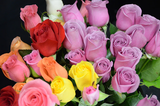 Supermarket «Hy-Vee», reviews and photos, 528 IA-1, Washington, IA 52353, USA