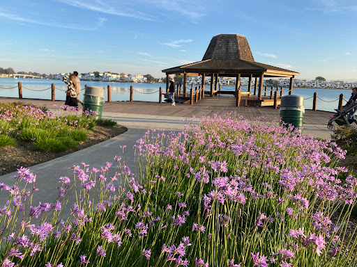 Park «Leo J. Ryan Park», reviews and photos, 650 Shell Blvd, Foster City, CA 94404, USA