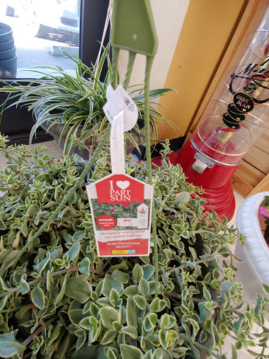 Hardware Store «Vision Ace Hardware», reviews and photos, 12830 Metro Pkwy, Fort Myers, FL 33912, USA