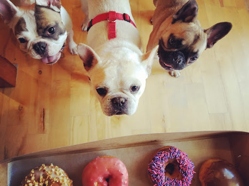 Donut Shop «Fresh Donut & Deli», reviews and photos, 2699 State St, South Salt Lake, UT 84115, USA