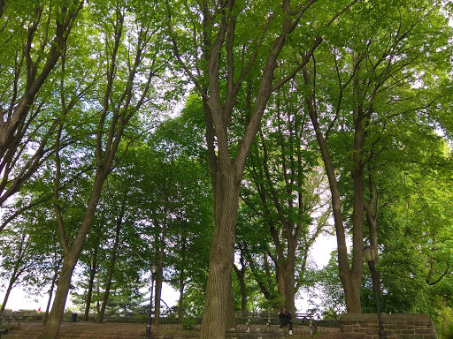 Park «Holcombe Rucker Park», reviews and photos, 280 W 155th St, New York, NY 10039, USA