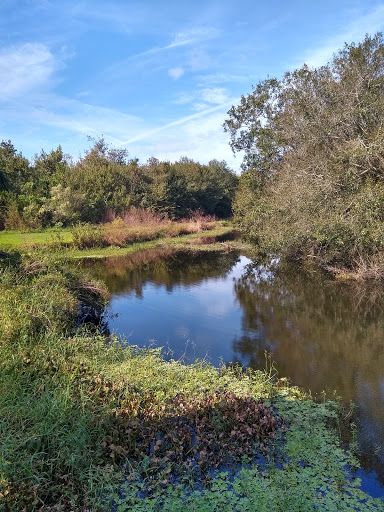Park «Cliff Stephens Park», reviews and photos, 600 Fairwood Ave, Clearwater, FL 33759, USA