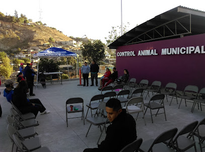 Control Animal Municipal