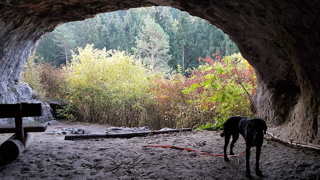 Campingplatz Jurahöhe - Grenchen