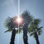 Photo n°1 de l'avis de David.i fait le 04/08/2019 à 12:24 sur le  Parco San Marco Hotels & Beach Resort à Cima