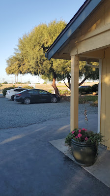 Brentwood Pet Resort 600 Concord Ave, Brentwood, CA 94513