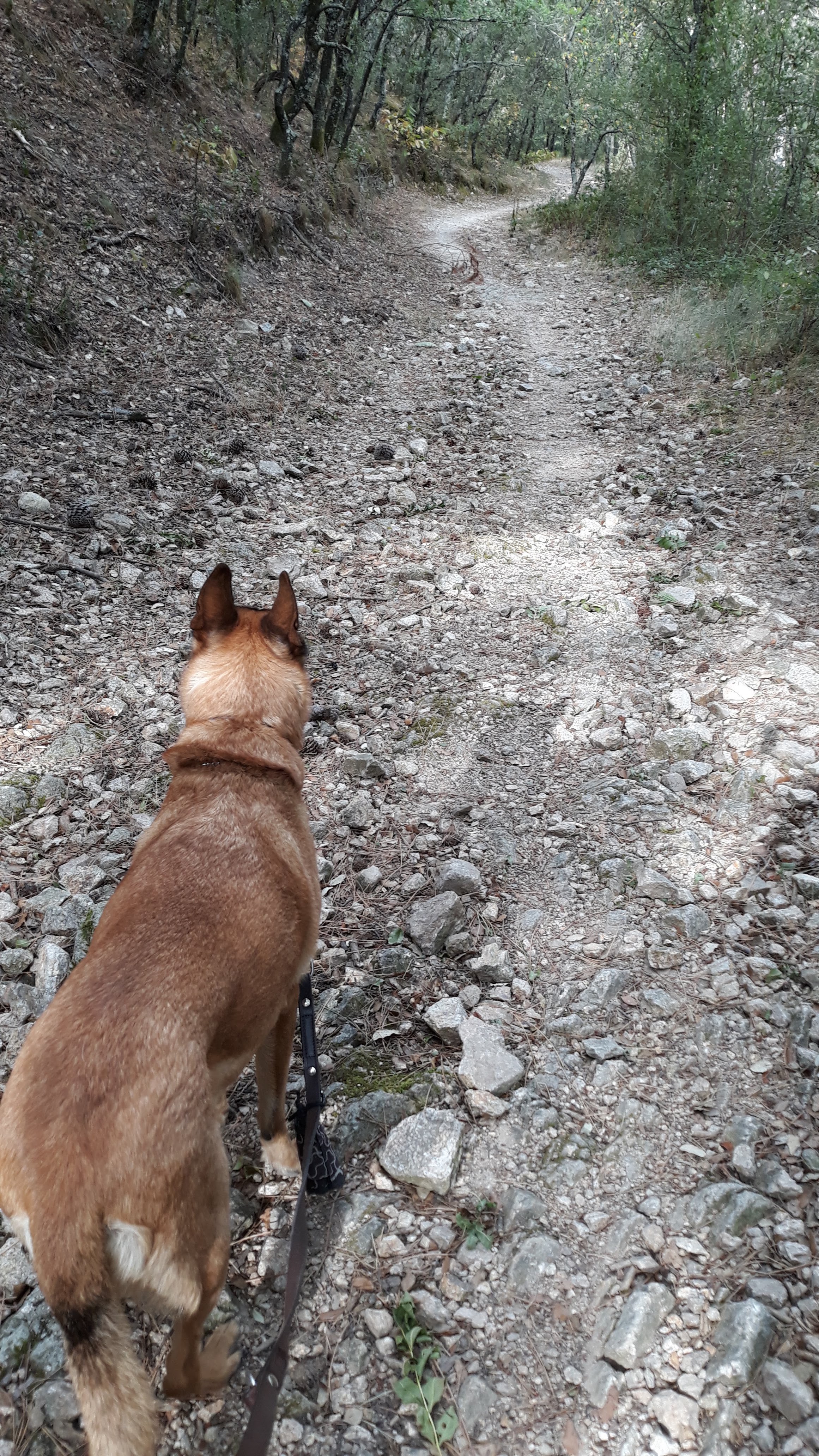 Photo n° 3 de l'avis de Koos.a fait le 15/10/2019 à 09:48