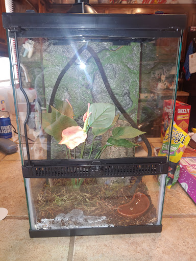 Pet Store «Petland», reviews and photos, 1600 Turner McCall Blvd, Rome, GA 30161, USA