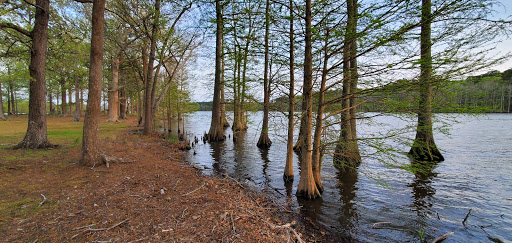 Golf Club «Stumpy Lake Golf Course», reviews and photos, 4797 Indian River Rd, Virginia Beach, VA 23456, USA