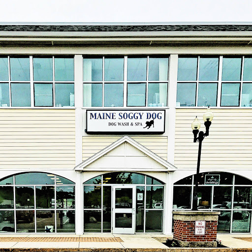 Maine Soggy Dog | Dog Wash & Spa