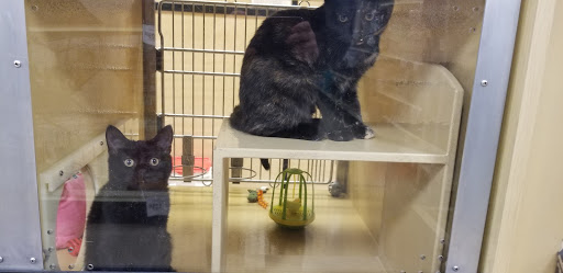 Pet Supply Store «PetSmart», reviews and photos, 350 Fifth St, Oswego, IL 60543, USA