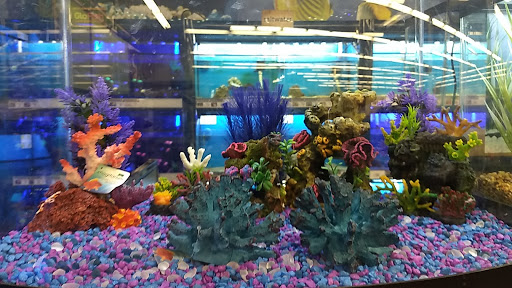 Pet Supply Store «Petco Animal Supplies», reviews and photos, 8966 S Broadway Ave #112, Tyler, TX 75703, USA