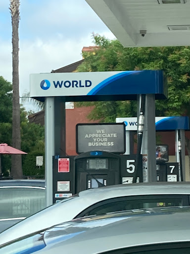 World Gas Station