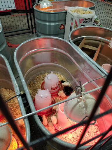 Home Improvement Store «Tractor Supply Co.», reviews and photos, 1714 N Main St, Shelbyville, TN 37160, USA