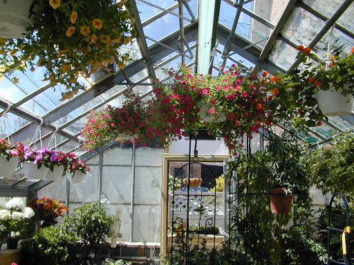 Florist «Manhasset Florist & Greenhouse», reviews and photos, 25 Orchard St, Manhasset, NY 11030, USA