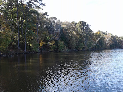 Nature Preserve «Maurice River Bluffs Preserve», reviews and photos, Silver Run Rd, Millville, NJ 08332, USA