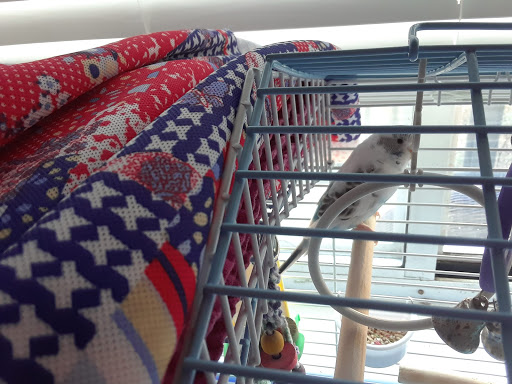 Pet Supply Store «Pet Supplies Plus», reviews and photos, 1237 Concord Pkwy N, Concord, NC 28025, USA