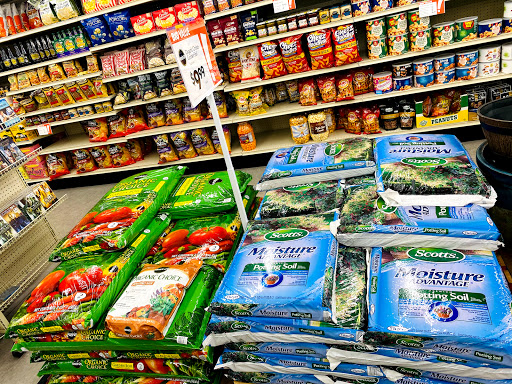 Discount Store «Big Lots», reviews and photos, 751 Good Homes Rd, Orlando, FL 32818, USA