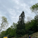 Photo n°9 de l'avis de Anh.u fait le 30/04/2023 à 07:58 sur le  Campeggio La' Vedo à Lenno