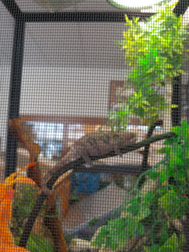 Pet Store «Animal Ark», reviews and photos, 175 S 500 E St, American Fork, UT 84003, USA