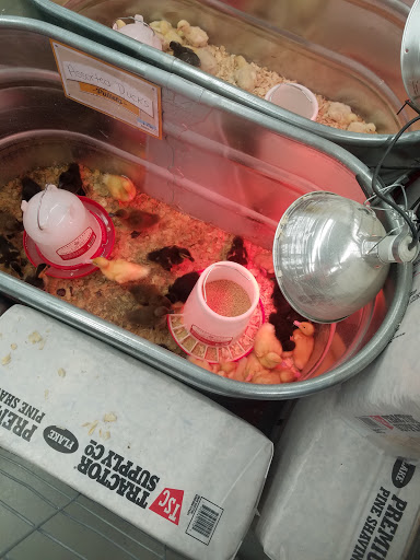 Home Improvement Store «Tractor Supply Co.», reviews and photos, 127 Temple Hill Rd, New Windsor, NY 12553, USA