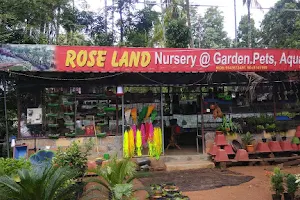 Roseland garden image
