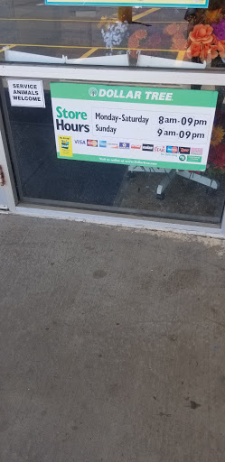 Dollar Store «Dollar Tree», reviews and photos, 100 Northeast Ave, North East, MD 21901, USA