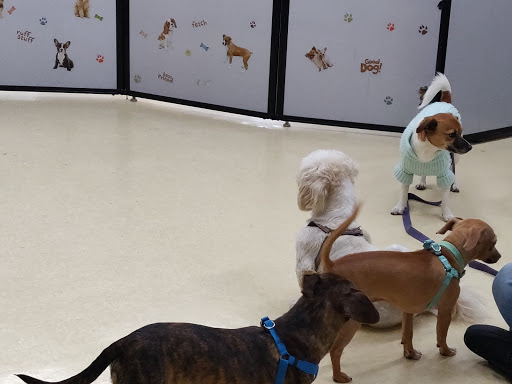 Pet Supply Store «Petco Animal Supplies», reviews and photos, 300 Quaker Ln #3, Warwick, RI 02886, USA