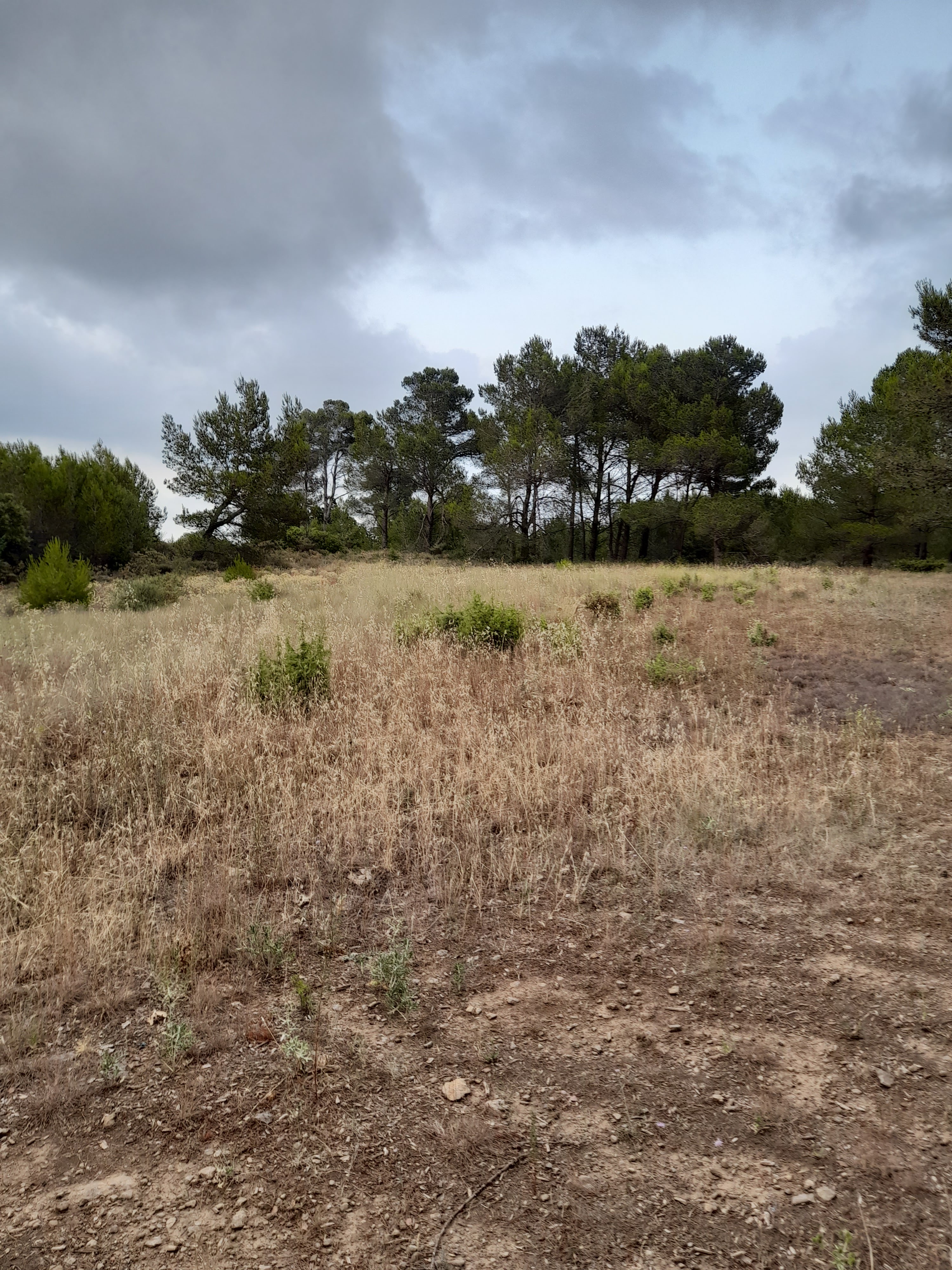 Photo n° 2 de l'avis de Bilbon.A fait le 20/06/2022 à 20:00