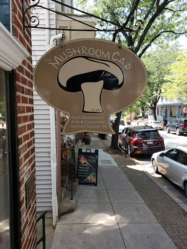 Gift Shop «The Mushroom Cap», reviews and photos, 114 W State St, Kennett Square, PA 19348, USA