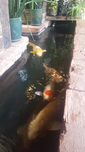 Tattoo Shop «Leviticus Tattoo», reviews and photos, 4109 E Lake St, Minneapolis, MN 55406, USA