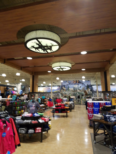 Outdoor Sports Store «Field & Stream», reviews and photos, 800 Brevard Rd #901, Asheville, NC 28806, USA