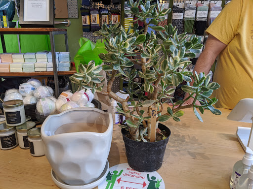 Florist «Urban Sense», reviews and photos, 5402 W Vliet St, Milwaukee, WI 53208, USA