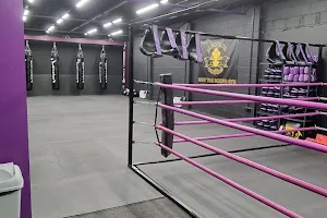 Minotaur Thai Boxing Gym image