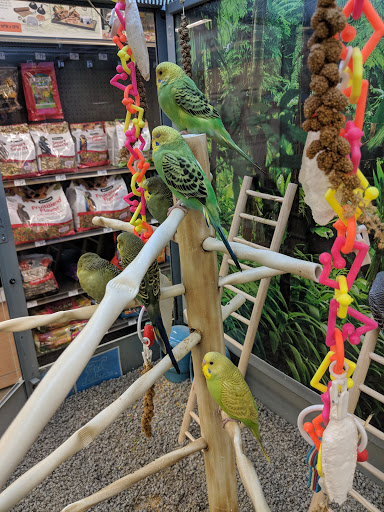 Pet Supply Store «Petco Animal Supplies», reviews and photos, 1680 Campbell Ln, Bowling Green, KY 42104, USA