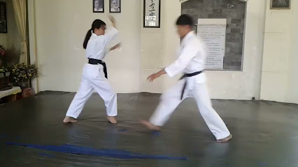 Aikido Thiên Long Việt Khí Đạo