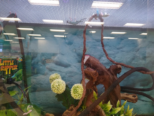 Pet Supply Store «Petco Animal Supplies», reviews and photos, 1410 N Loop 336 W, Conroe, TX 77304, USA