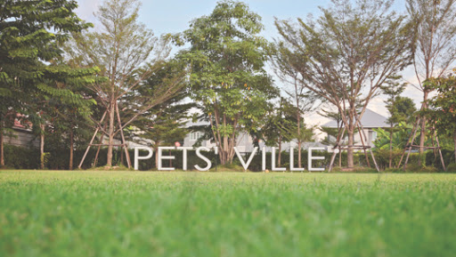 PETS' VILLE Dog Hotel, Pool, Park & Cafe