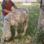 Photo n°1 de l'avis de Gatto. fait le 08/06/2023 à 20:56 sur le  Abm Antico Bar Magnani à Castelnovo ne' Monti