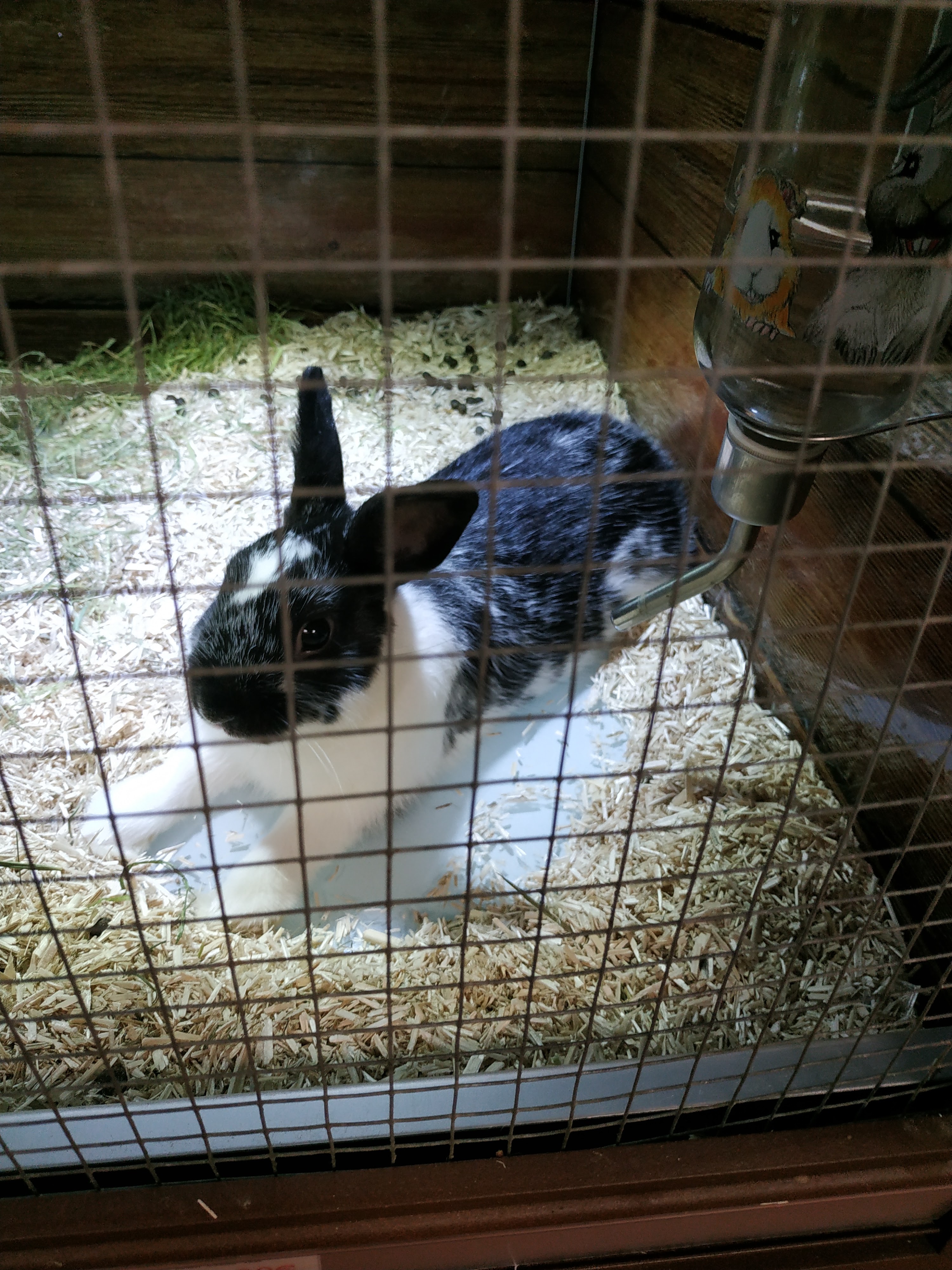 Photo n° 10 de l'avis de Jessy.e fait le 25/08/2018 à 16:56